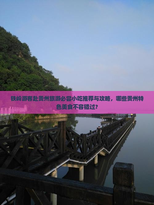 铁岭游客赴贵州旅游必尝小吃推荐与攻略，哪些贵州特色美食不容错过？