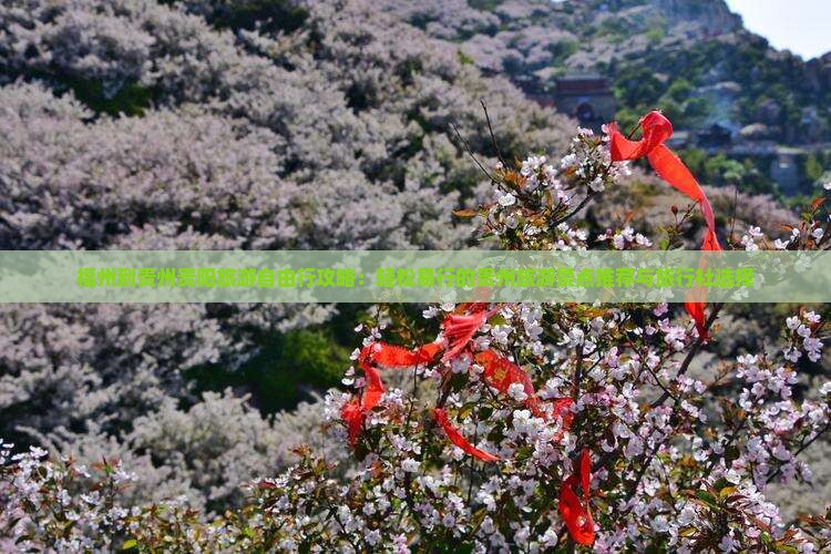 福州到贵州贵阳旅游自由行攻略：轻松易行的贵州旅游景点推荐与旅行社选择