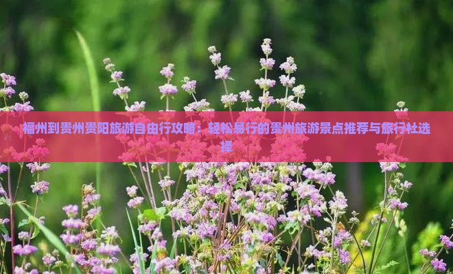 福州到贵州贵阳旅游自由行攻略：轻松易行的贵州旅游景点推荐与旅行社选择