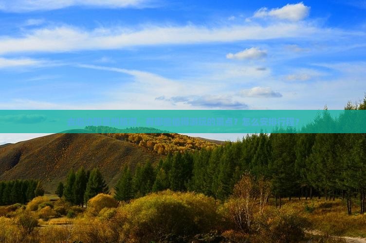 去临沧到贵州旅游，有哪些值得游玩的景点？怎么安排行程？