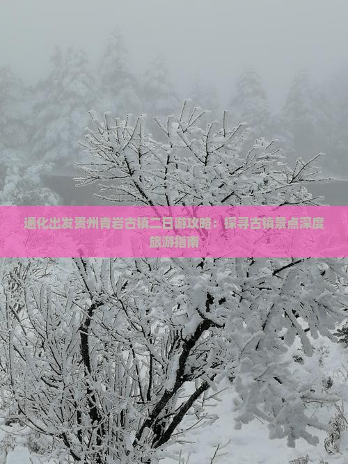 通化出发贵州青岩古镇二日游攻略：探寻古镇景点深度旅游指南