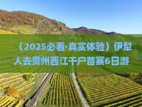伊犁去贵州西江千户苗寨六日游