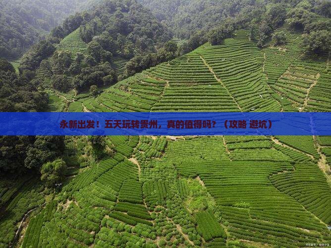 永新到贵州五日游