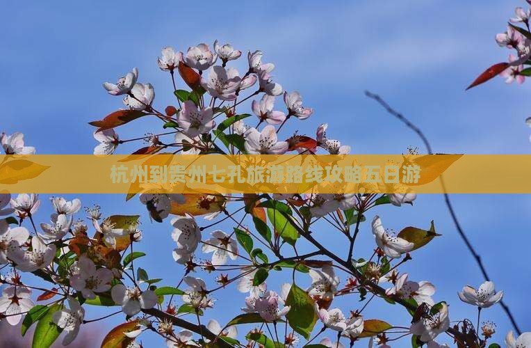 杭州到贵州小七孔五日游