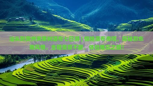 汕头到贵州黄果树瀑布七日游