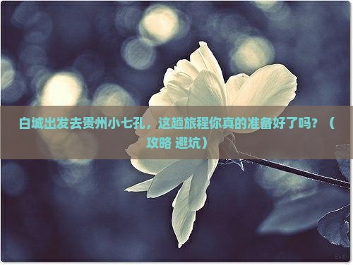 白城去贵州小七孔旅游