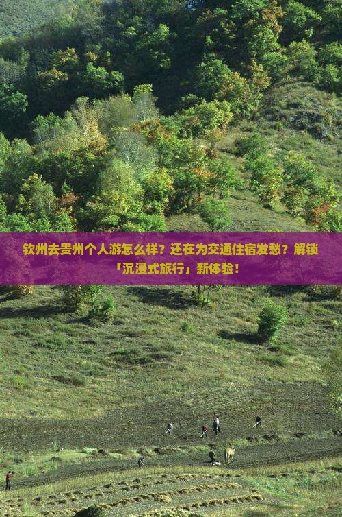 钦州去贵州个人游