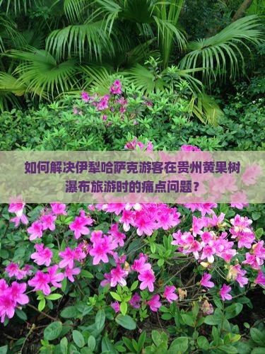 如何解决伊犁哈萨克游客在贵州黄果树瀑布旅游时的痛点问题？