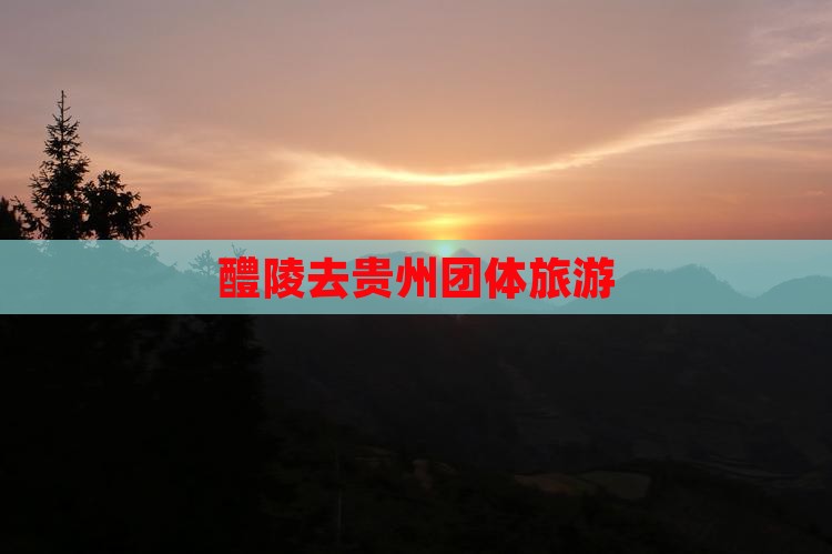 醴陵去贵州团体旅游