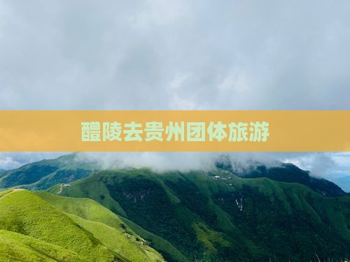 醴陵去贵州团体旅游