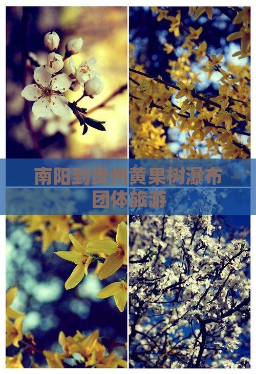 南阳到贵州黄果树瀑布团体旅游