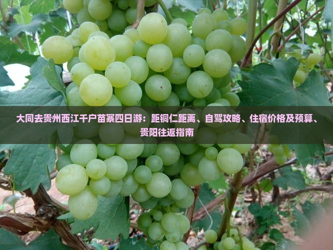 大同去贵州西江千户苗寨四日游：距铜仁距离、自驾攻略、住宿价格及预算、贵阳往返指南