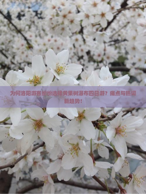 为何洛阳游客纷纷选择黄果树瀑布四日游？痛点与热词新趋势！