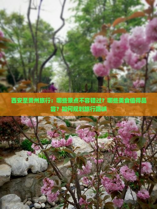 西安至贵州旅行：哪些景点不容错过？哪些美食值得品尝？如何规划旅行路峡