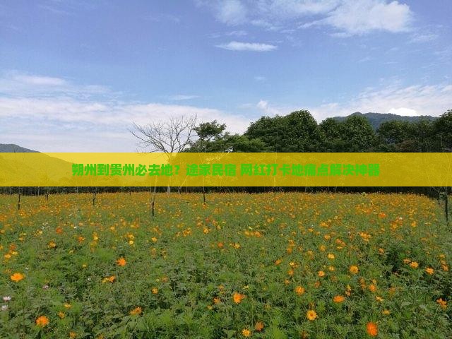 朔州到贵州必去地？途家民宿+网红打卡地痛点解决神器