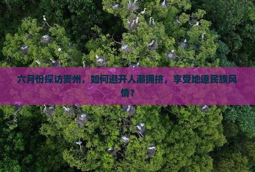 六月份探访贵州，如何避开人潮拥挤，享受地道民族风情？