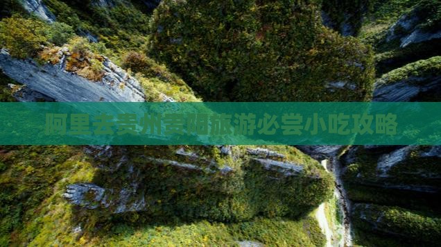阿里去贵州贵阳旅游必尝小吃攻略
