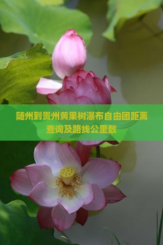 随州到贵州黄果树瀑布自由团距离查询及路线公里数