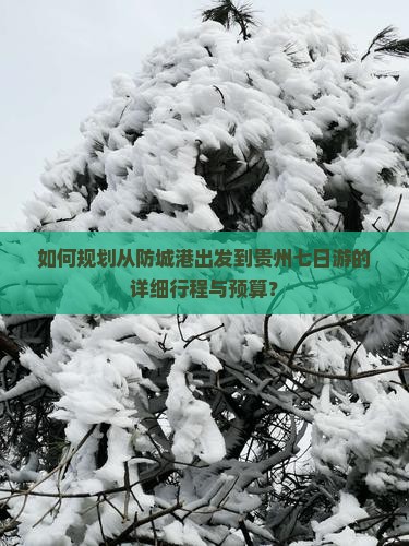 如何规划从防城港出发到贵州七日游的详细行程与预算？