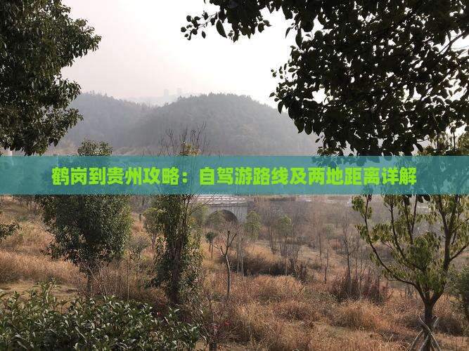 鹤岗到贵州攻略：自驾游路线及两地距离详解
