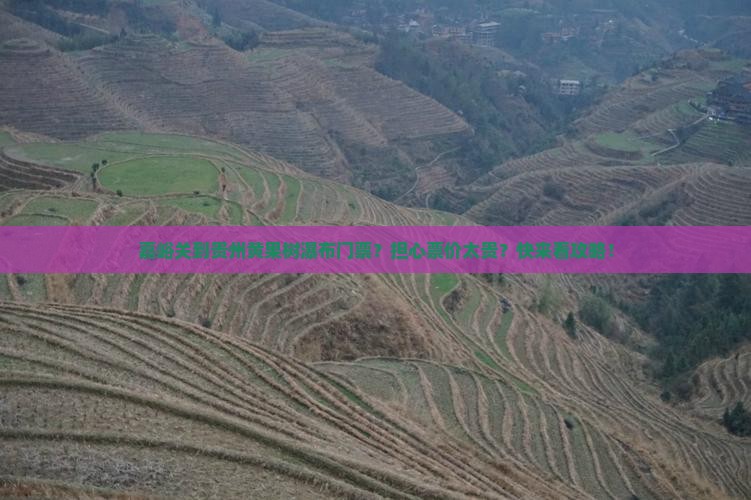嘉峪关到贵州黄果树瀑布门票？担心票价太贵？快来看攻略！