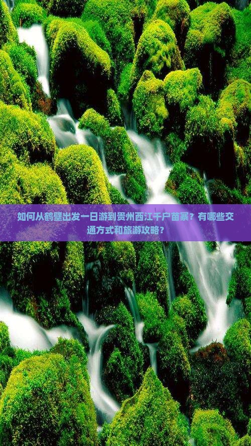 如何从鹤壁出发一日游到贵州西江千户苗寨？有哪些交通方式和旅游攻略？