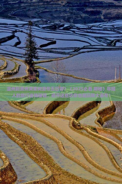 温州到贵州黄果树瀑布五日游