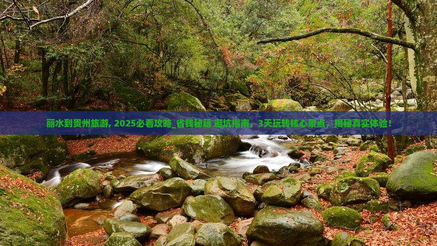 丽水到贵州旅游