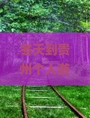 冬天到贵州个人游