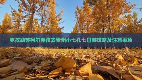 克孜勒苏柯尔克孜去贵州小七孔七日游