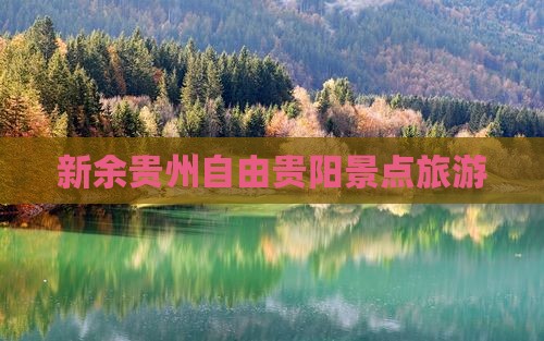 新余去贵州贵阳自由团