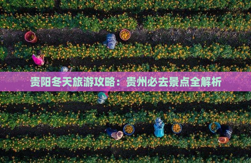 冬天到贵州贵阳攻略