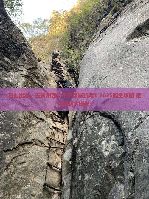 白山到贵州西江千户苗寨团体旅游