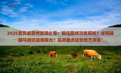 宜宾去贵州旅游