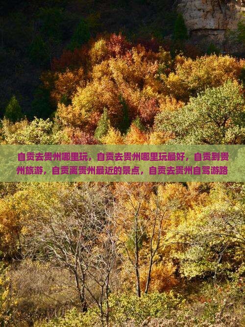 自贡去贵州哪里玩