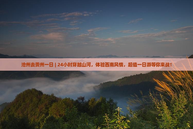 沧州去贵州一日