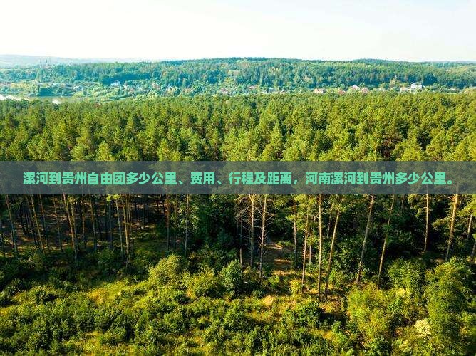 漯河到贵州自由团