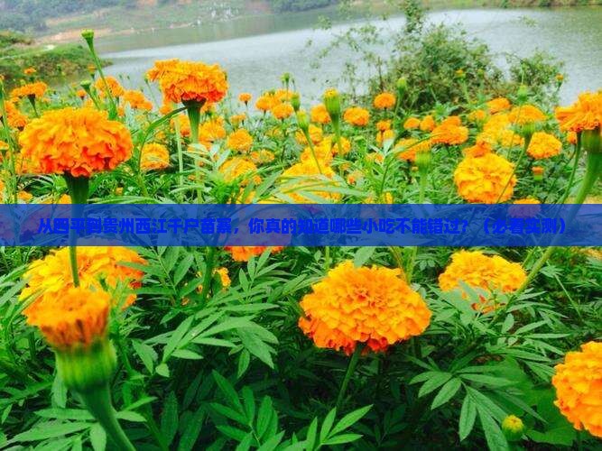 四平到贵州西江千户苗寨旅游小吃
