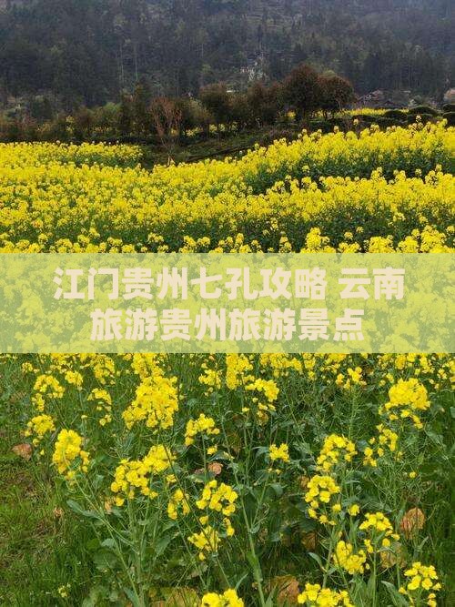 江门去贵州小七孔自由团
