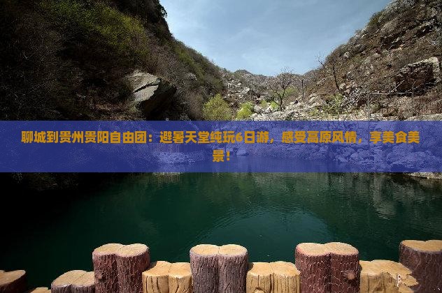 聊城到贵州贵阳自由团