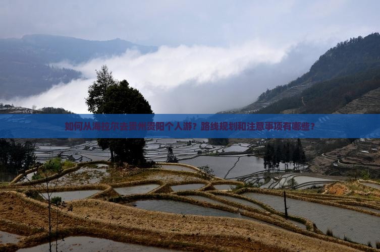 如何从海拉尔去贵州贵阳个人游？路线规划和注意事项有哪些？