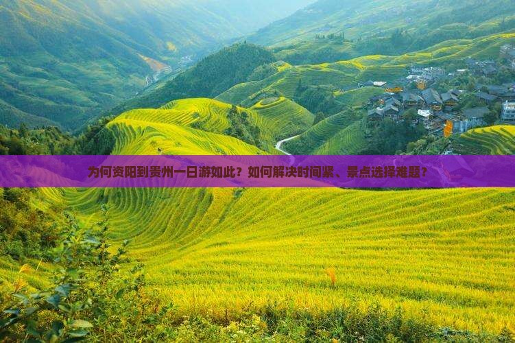 为何资阳到贵州一日游如此？如何解决时间紧、景点选择难题？