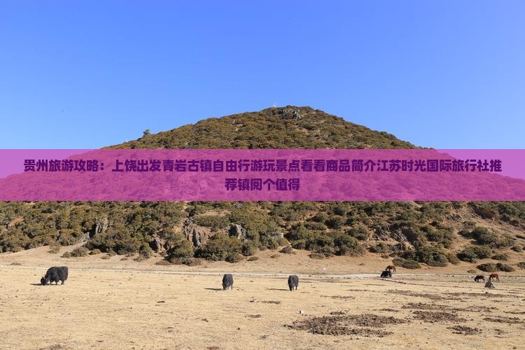 贵州旅游攻略：上饶出发青岩古镇自由行游玩景点看看商品简介江苏时光国际旅行社推荐镇阅个值得