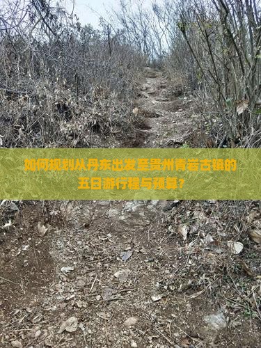 如何规划从丹东出发至贵州青岩古镇的五日游行程与预算？