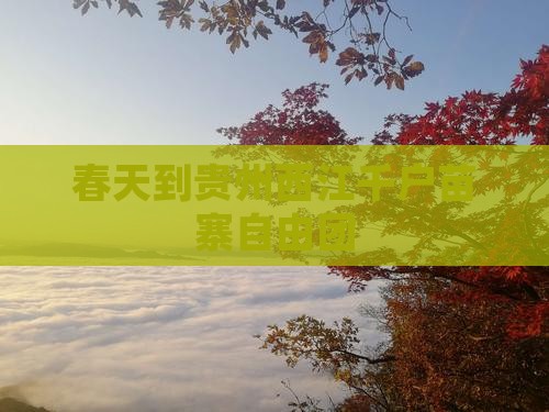 春天到贵州西江千户苗寨自由团