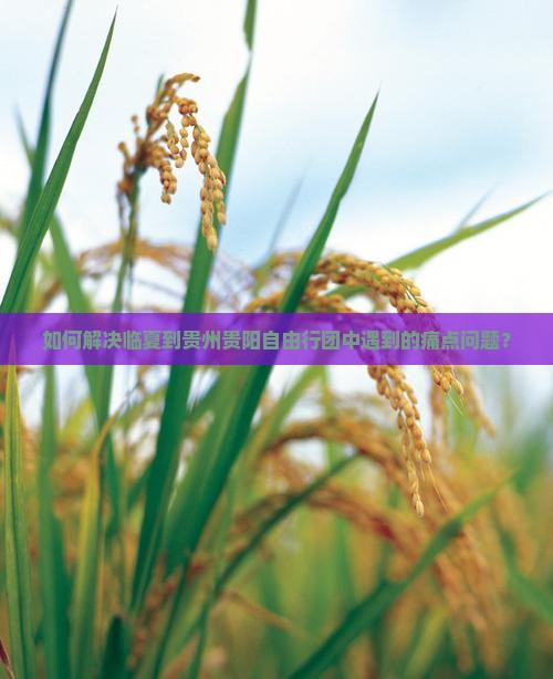 如何解决临夏到贵州贵阳自由行团中遇到的痛点问题？