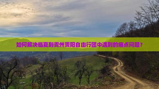 如何解决临夏到贵州贵阳自由行团中遇到的痛点问题？