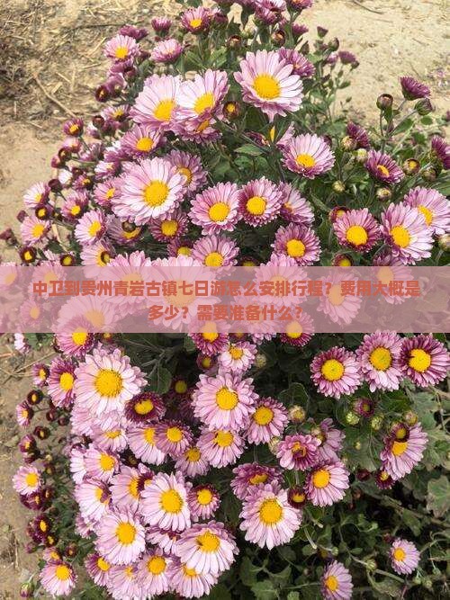 中卫到贵州青岩古镇七日游怎么安排行程？费用大概是多少？需要准备什么？