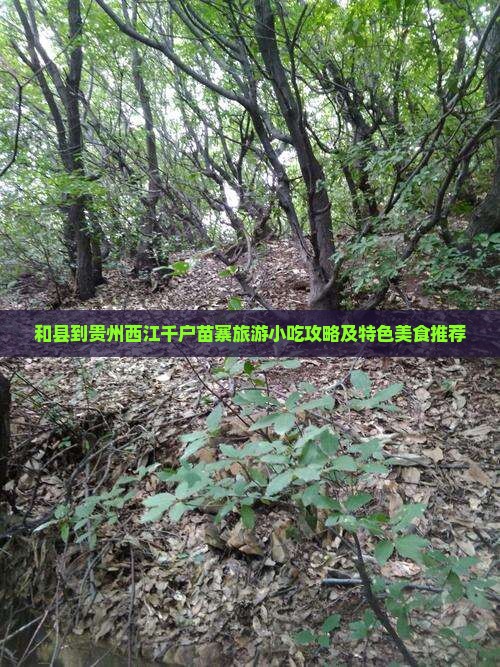 和县到贵州西江千户苗寨旅游小吃攻略及特色美食推荐