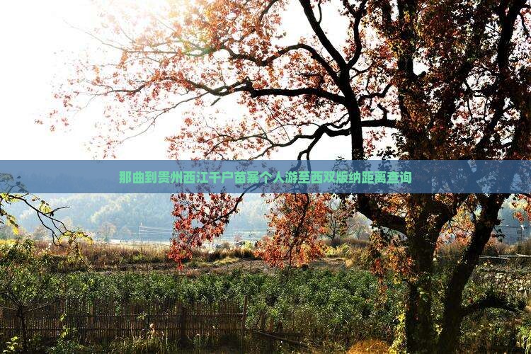 那曲到贵州西江千户苗寨个人游至西双版纳距离查询
